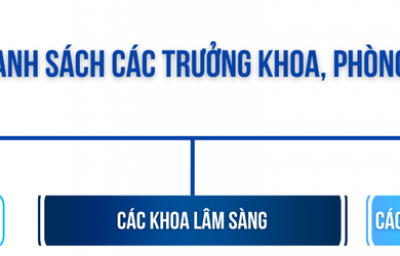 Sơ đồ tổ chức